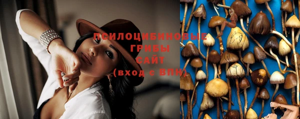 эйфоретик Нязепетровск