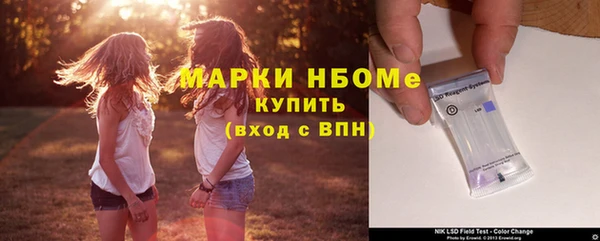 шишки Новозыбков