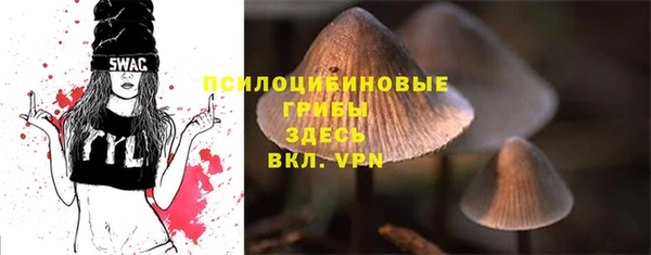 ALPHA PVP Новодвинск