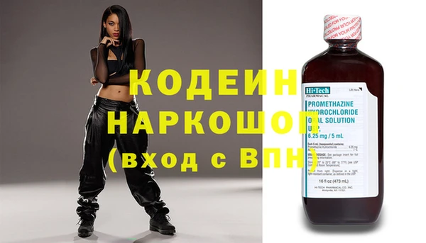 шишки Новозыбков