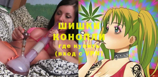 шишки Новозыбков