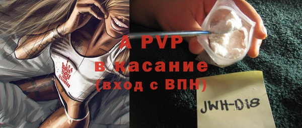 шишки Новозыбков