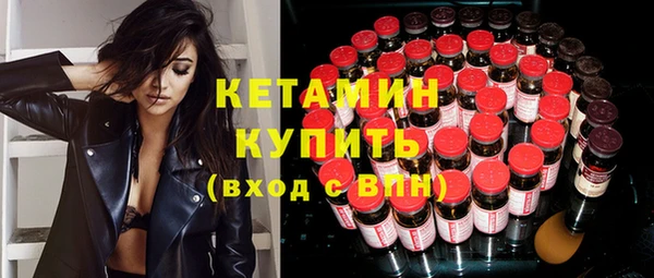 шишки Новозыбков