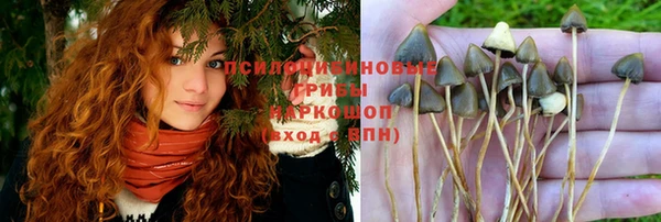 ALPHA PVP Новодвинск